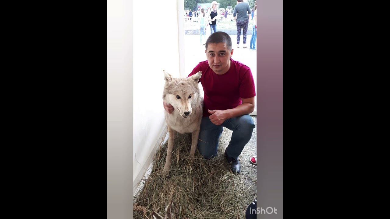 Акция "Мой пап - богатырь"!#папабогатырь #гдктроицк Группа "Радуга" смотреть онлайн