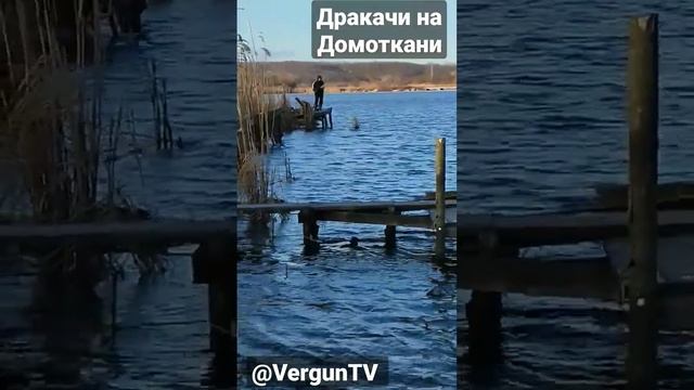 Дракачи на Домоткани #рыбалка #рыбалка_в_каменском #verguntv #vlog_рыбалка #весенний_клев