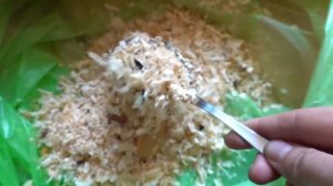 Минус один хомячок