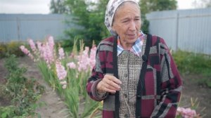Когда посадить малину. Лучшее время посадки малины.