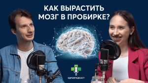 Мозг в пробирке – как и зачем человеку отращивать мозги? / ЗдравПодкаст