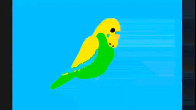 Как нарисовать волнистого попугайчика смотреть онлайн