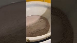 Аммофоска, диаммофоска, аммофос, хлористый калий, растворение. Часть 3.