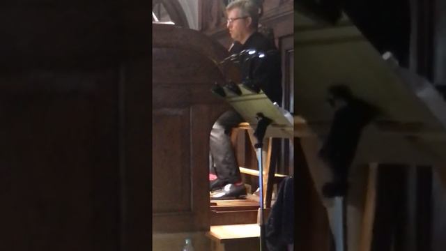 Sometimes They Also Sing! Organist F. Stroganov. Иногда они ещё и поют! Органист Федор Строганов.