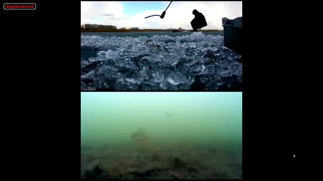 успешная ловля карасей в черте города смотреть онлайн