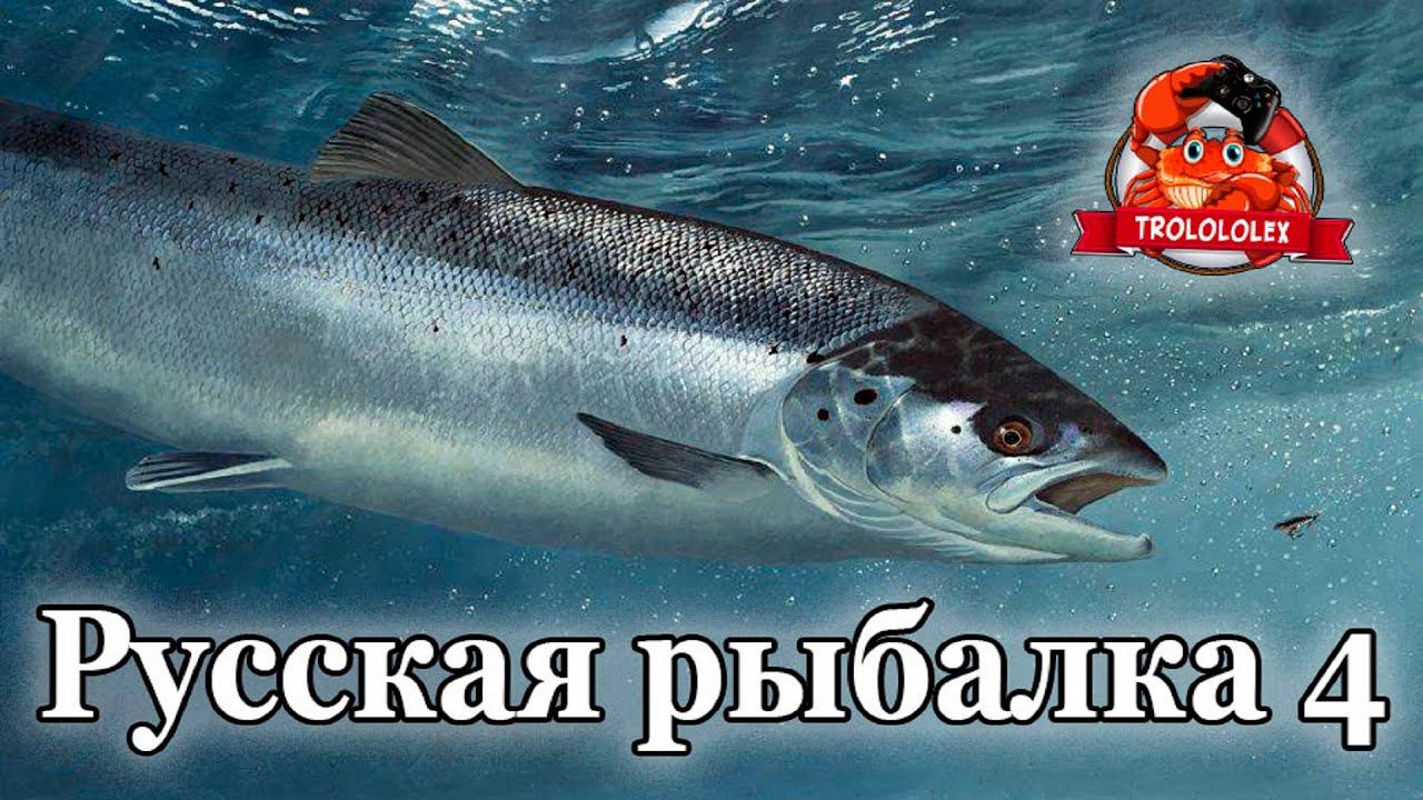 Русская рыбалка 4 Лосось атлантический смотреть онлайн