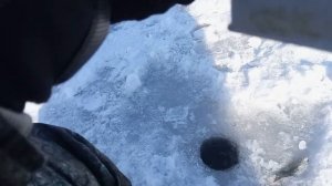 Луганск. Ловим рыбу! Окунь, плотва клюёт на мотыля.