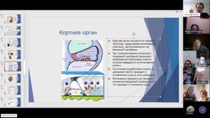 6_06.10.23_Клочко_Нейропсихология