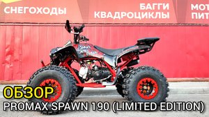 Обзор PROMAX SPAWN 190 (Промакс Спаун 190) лучший детский квадроцикл