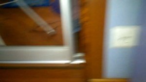 Ругаю собаку