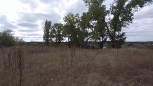 с. Новоселица. Украина.