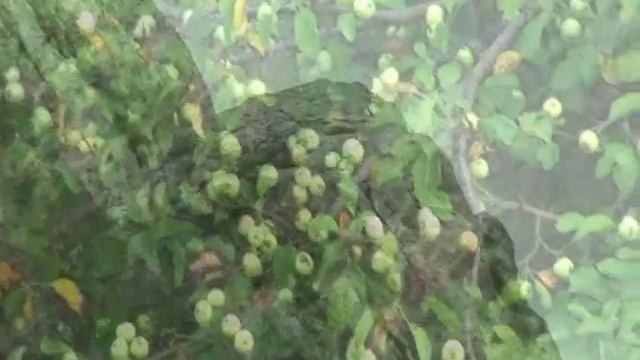 Белая Калитва, Пигарька смотреть онлайн