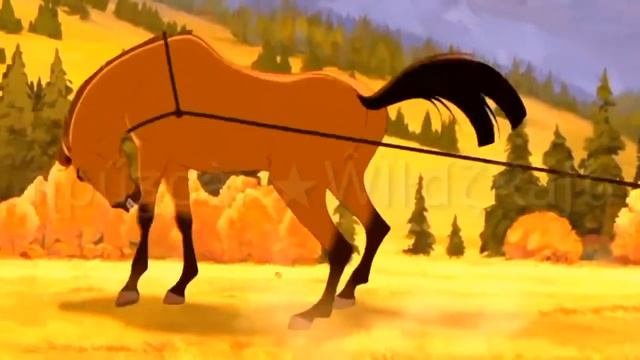 ✨Спирит-Душа-Прерий✨ MV: When I With You~Спирит 🐴