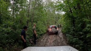 НИВА НА ПРОГУЛКЕ В ЛЕСУ.