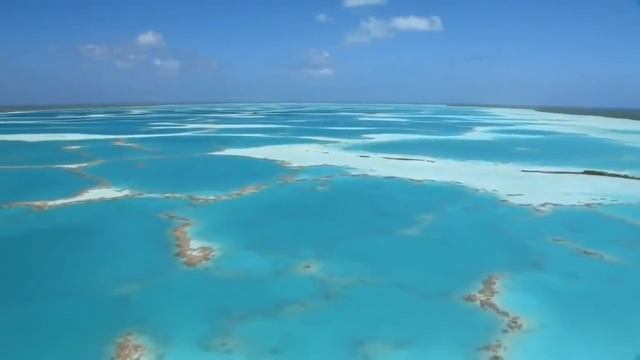 Existence ♥ Shiva Shankara HI-FI sound смотреть онлайн