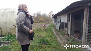 ЖИВЕМ в ДЕРЕВНЕ/ БЕЛАРУСЬ./ Наши курочки.