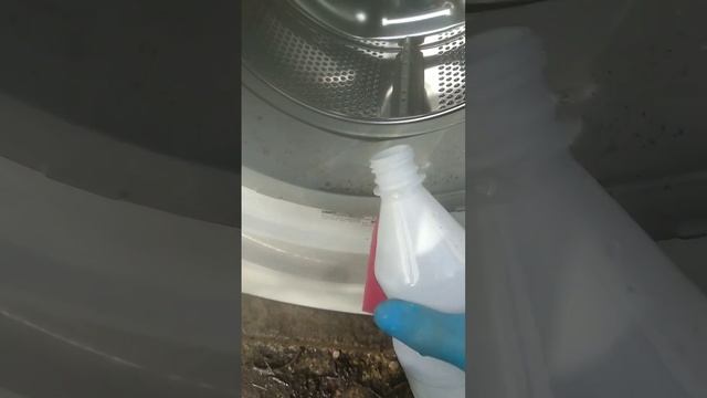 Как очистить манжет стиральной машины от плесени. смотреть онлайн
