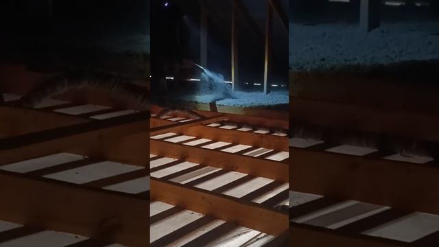 Утепление чердачного перекрытия Эковатой Экстра г Тихорецк смотреть онлайн