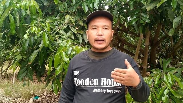 ยืดช่อครับ ต้องยืดช่อ ด้วยปุ๋ยเกล็ดสูตร... смотреть онлайн