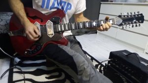 12 струнная Мария