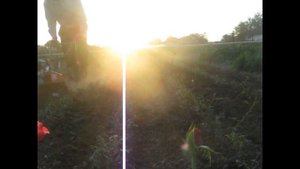 Мотокультиватор Sungarden T-35 , работа фрезой в междурядьях