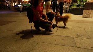 МЮНХЕН. Русские в Германии - 1