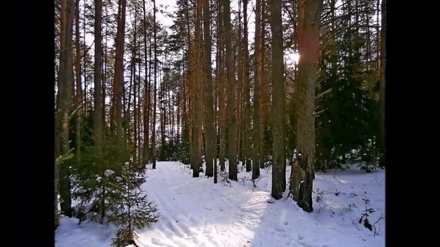 Зимняя природа Удмуртии смотреть онлайн