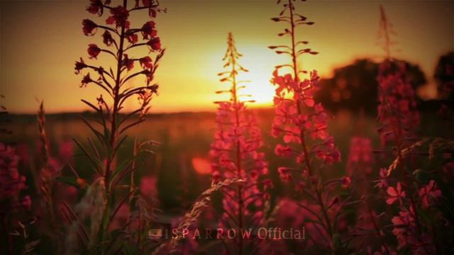 Narumugaye Narumugaye | A.R. Rahman | Cover Version | Venkat | Love WhatsApp Status Video смотреть онлайн