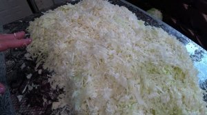 Засолка капусты