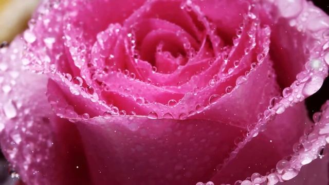 Сергей Чекалин - зима, Падал снег! Сборник красивой музыки для души! Невероятно красивая мелодия! смотреть онлайн