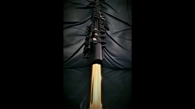 Yamaha YDS 150 Digital Saxophone T8 /Serenade - Franz Schubert смотреть онлайн