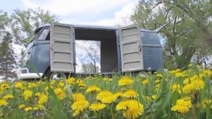 I Love My 1959 VW Bus - A Restored VW 7 Door or Double Door Panel Van