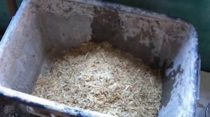 Эксперименты с арболитом. Часть 1. Замешиваем стружку с цементом