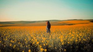 Стихи Роберт Бернс "Пробираясь до калитки"