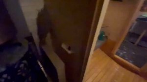 Баня бочка зимой в -23 градуса. Паримся в шубе? Честный отзыв владельца