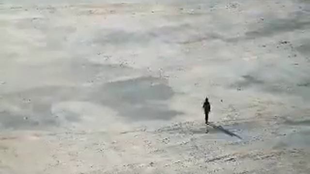 Доблестные пограничники задержали любопытного прохожего на Амуре смотреть онлайн