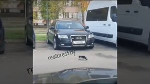 ВОРОНА И ОРЕХ