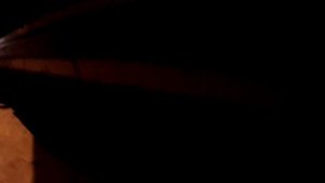 Выхлоп стингер паук 4-2-1