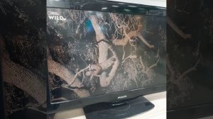 Прошитая приставка 300 каналов без абон платы