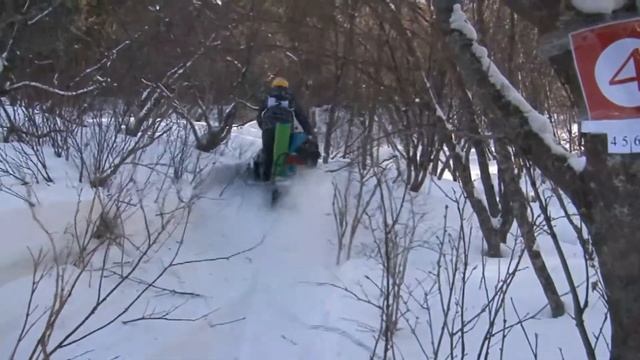 Снежный марафон на Телецком