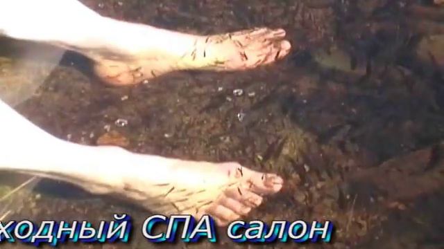 встречи на кольском смотреть онлайн