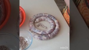 Казы...Шужук... Вкусная домашняя колбаса из цельного мяса.