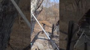 Побелка яблонь из опрыскивателя