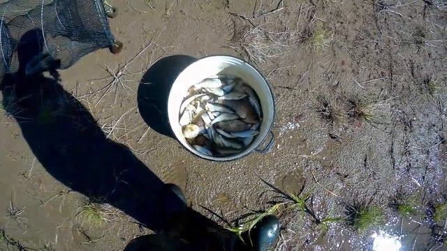 Китайская ловушка для рыбы.Ловит или нет? смотреть онлайн