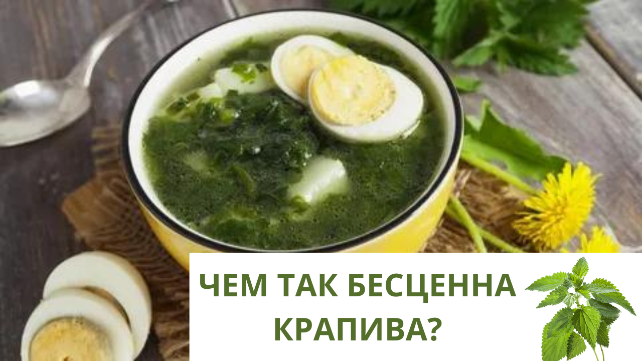 КАК КРАПИВА ПОМОЖЕТ ИЗБАВИТЬСЯ ОТ РЕВМАТИЗМА И ПОДАГРЫ? ОТВАР И НАСТОЙКА ИЗ КРАПИВЫ.