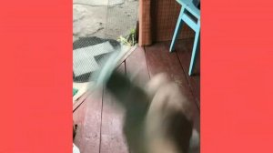 Быстрый ремонт и покраска авто своими руками на улице без использования проф.инструмента