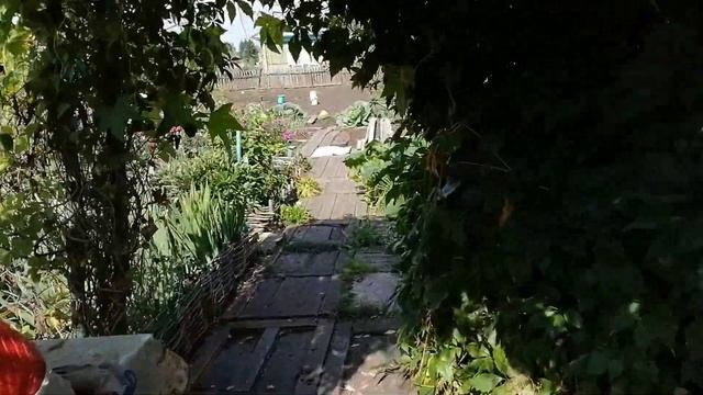 Пришло время копать картофель/сама не справилась смотреть онлайн