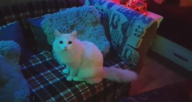 🎃 Wallet or life_ смотреть онлайн