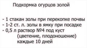 Зола. Рецепты из древесной золы для подкормок растений. Часть 2