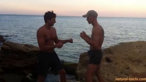 Естественный тайцзицюань - Принципы ударов во внутренних стилях